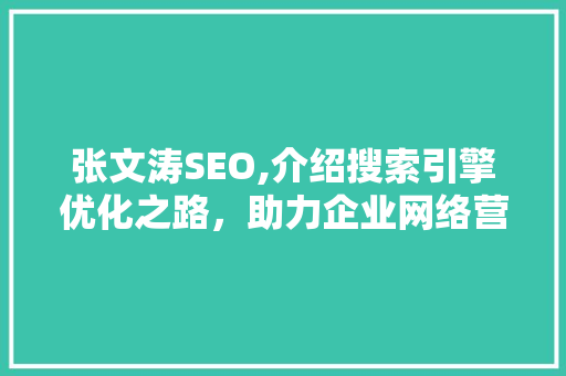 张文涛SEO,介绍搜索引擎优化之路，助力企业网络营销