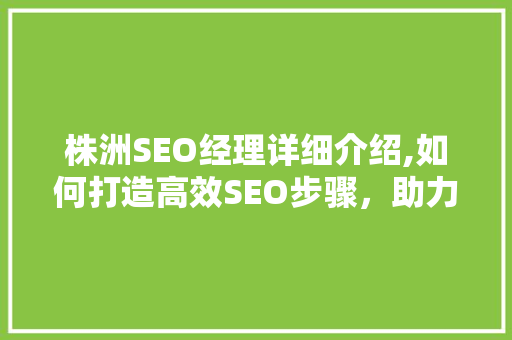 株洲SEO经理详细介绍,如何打造高效SEO步骤，助力企业腾飞