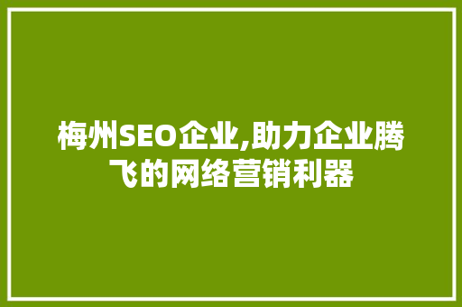 梅州SEO企业,助力企业腾飞的网络营销利器
