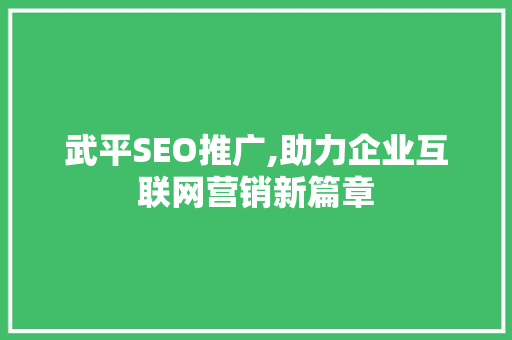 武平SEO推广,助力企业互联网营销新篇章