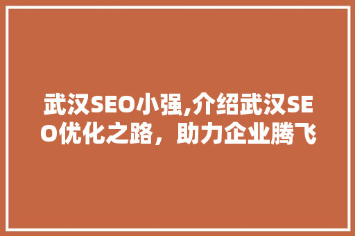武汉SEO小强,介绍武汉SEO优化之路，助力企业腾飞