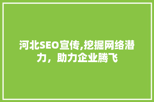 河北SEO宣传,挖掘网络潜力，助力企业腾飞