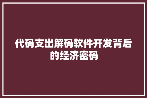 代码支出解码软件开发背后的经济密码