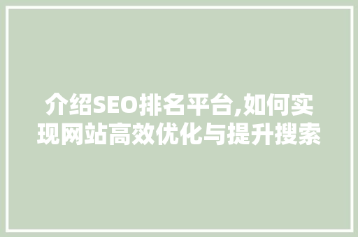 介绍SEO排名平台,如何实现网站高效优化与提升搜索引擎排名