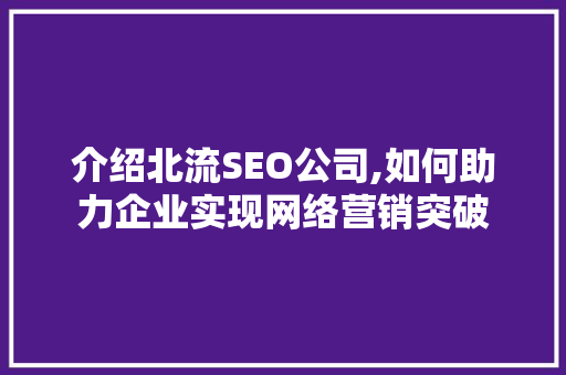 介绍北流SEO公司,如何助力企业实现网络营销突破