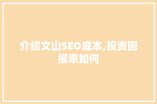 介绍文山SEO成本,投资回报率如何