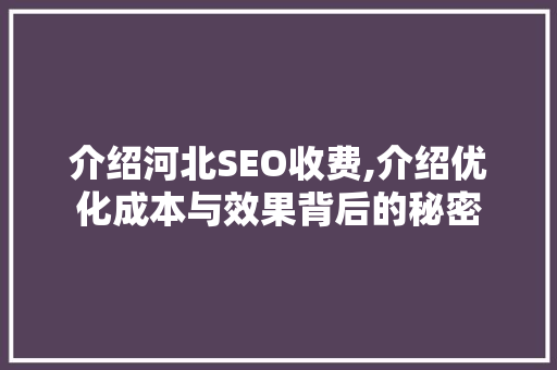介绍河北SEO收费,介绍优化成本与效果背后的秘密  第1张