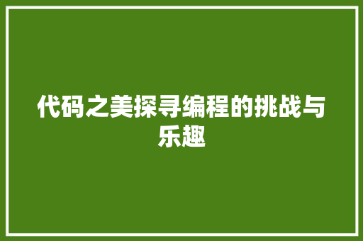 代码之美探寻编程的挑战与乐趣  第1张
