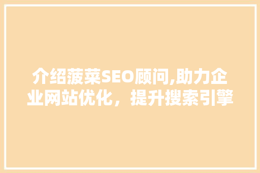 介绍菠菜SEO顾问,助力企业网站优化，提升搜索引擎排名