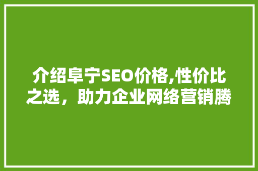 介绍阜宁SEO价格,性价比之选，助力企业网络营销腾飞