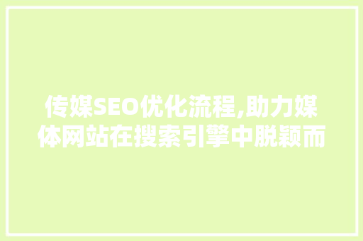 传媒SEO优化流程,助力媒体网站在搜索引擎中脱颖而出