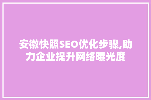 安徽快照SEO优化步骤,助力企业提升网络曝光度