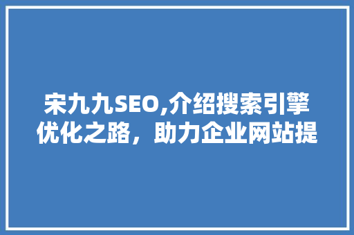 宋九九SEO,介绍搜索引擎优化之路，助力企业网站提升排名
