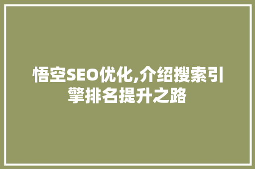 悟空SEO优化,介绍搜索引擎排名提升之路