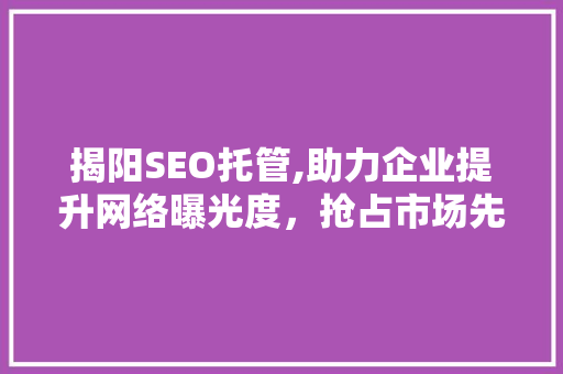 揭阳SEO托管,助力企业提升网络曝光度，抢占市场先机  第1张