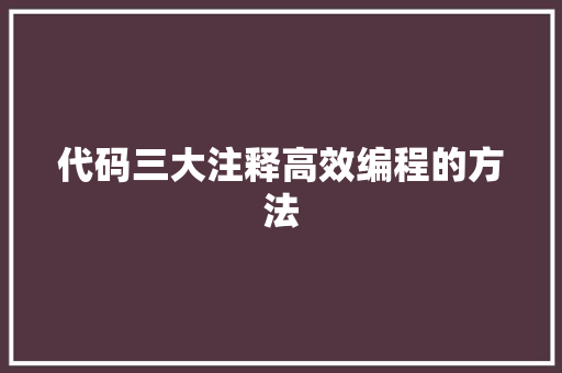 代码三大注释高效编程的方法
