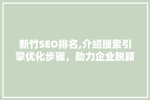 新竹SEO排名,介绍搜索引擎优化步骤，助力企业脱颖而出