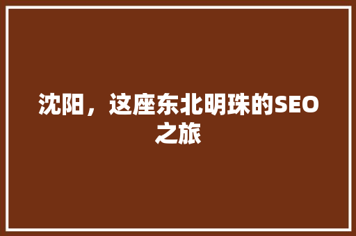 沈阳，这座东北明珠的SEO之旅  第1张