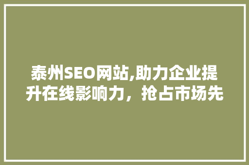 泰州SEO网站,助力企业提升在线影响力，抢占市场先机