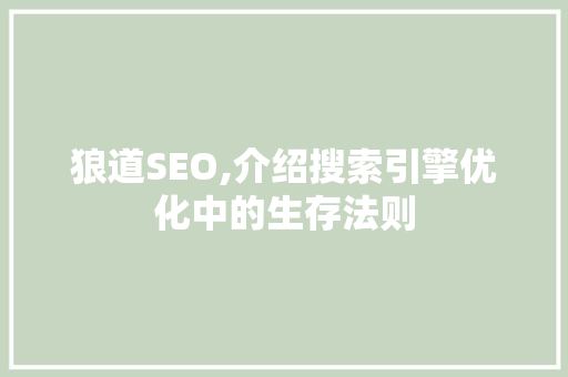 狼道SEO,介绍搜索引擎优化中的生存法则