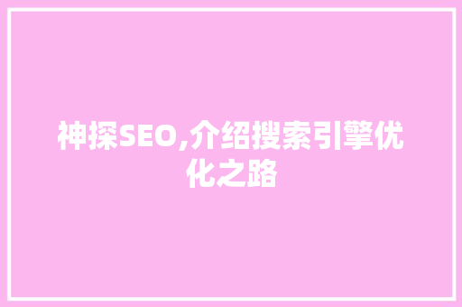 神探SEO,介绍搜索引擎优化之路