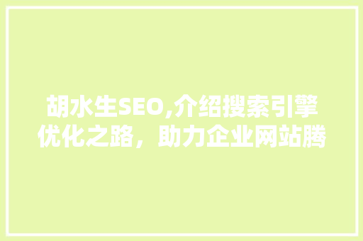胡水生SEO,介绍搜索引擎优化之路，助力企业网站腾飞