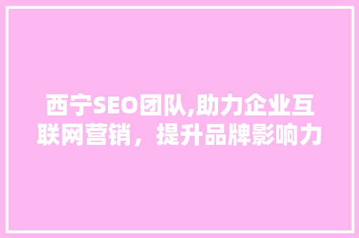 西宁SEO团队,助力企业互联网营销，提升品牌影响力