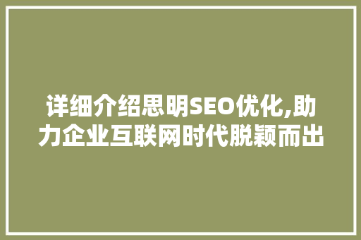 详细介绍思明SEO优化,助力企业互联网时代脱颖而出