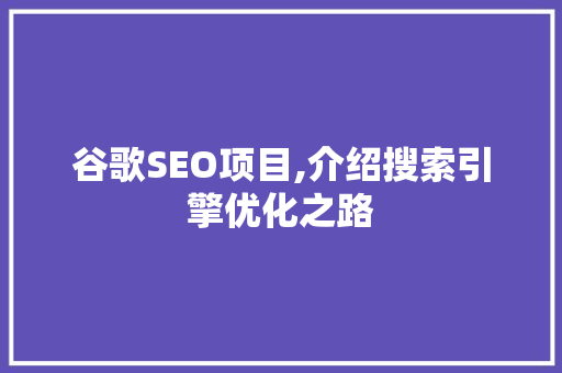 谷歌SEO项目,介绍搜索引擎优化之路