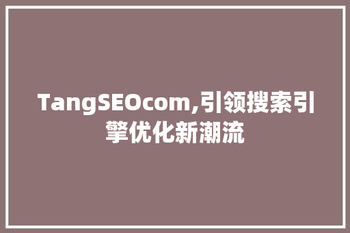TangSEOcom,引领搜索引擎优化新潮流  第1张