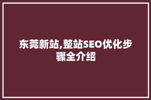 东莞新站,整站SEO优化步骤全介绍  第1张