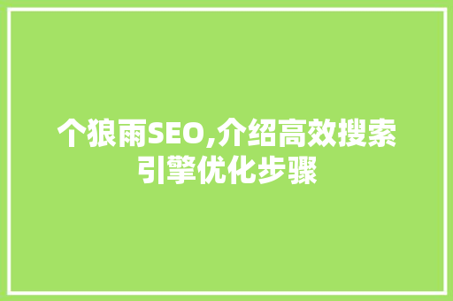 个狼雨SEO,介绍高效搜索引擎优化步骤