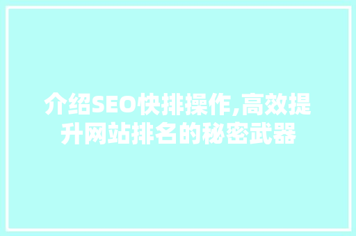 介绍SEO快排操作,高效提升网站排名的秘密武器