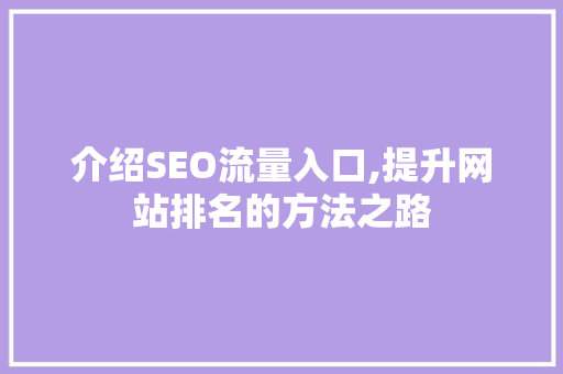 介绍SEO流量入口,提升网站排名的方法之路