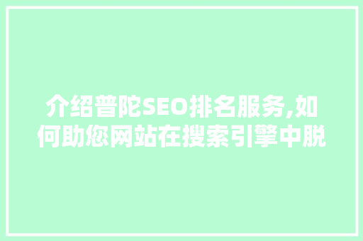 介绍普陀SEO排名服务,如何助您网站在搜索引擎中脱颖而出