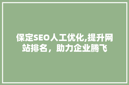 保定SEO人工优化,提升网站排名，助力企业腾飞  第1张