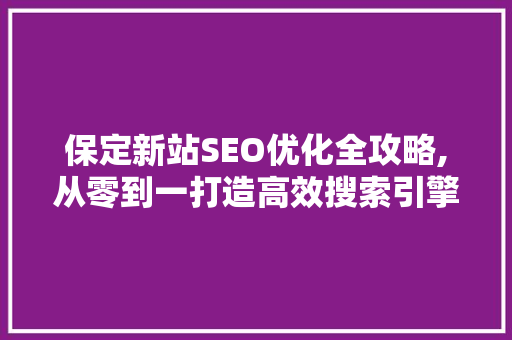 保定新站SEO优化全攻略,从零到一打造高效搜索引擎排名