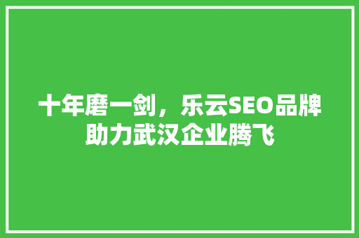 十年磨一剑，乐云SEO品牌助力武汉企业腾飞