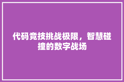 代码竞技挑战极限，智慧碰撞的数字战场