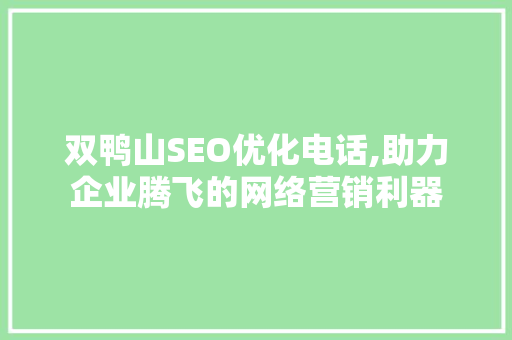 双鸭山SEO优化电话,助力企业腾飞的网络营销利器