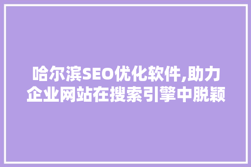 哈尔滨SEO优化软件,助力企业网站在搜索引擎中脱颖而出