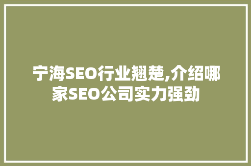 宁海SEO行业翘楚,介绍哪家SEO公司实力强劲