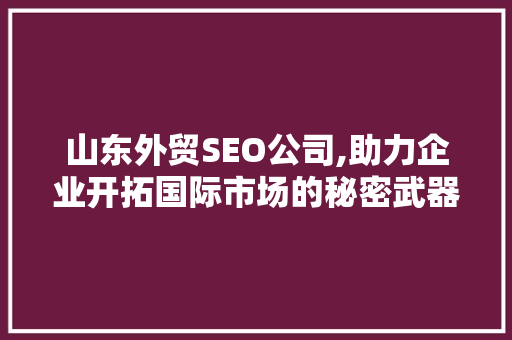 山东外贸SEO公司,助力企业开拓国际市场的秘密武器