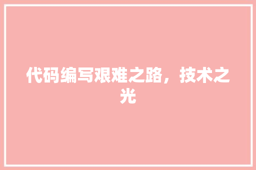 代码编写艰难之路，技术之光