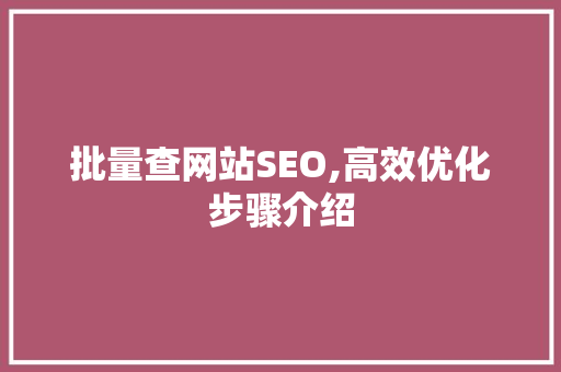 批量查网站SEO,高效优化步骤介绍