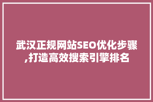武汉正规网站SEO优化步骤,打造高效搜索引擎排名