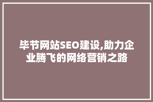 毕节网站SEO建设,助力企业腾飞的网络营销之路  第1张