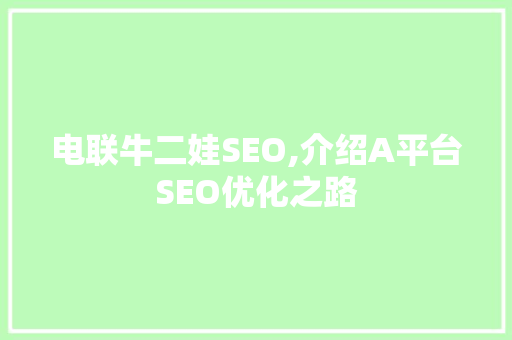 电联牛二娃SEO,介绍A平台SEO优化之路