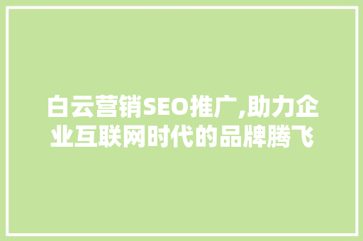 白云营销SEO推广,助力企业互联网时代的品牌腾飞