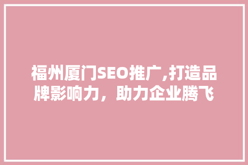 福州厦门SEO推广,打造品牌影响力，助力企业腾飞